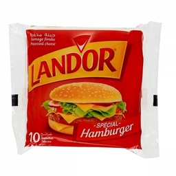 [00861] SLICE LANDOR HUM 10P