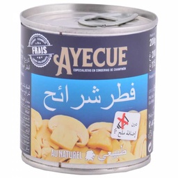 [8435307403735] CHAMP AYECUE SANS SEL