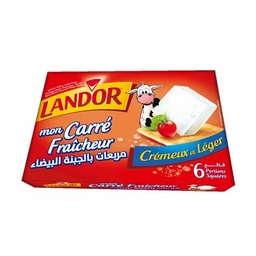 [6194049402346] LANDOR CHEESE SQUARES