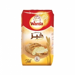 [int0595] FARINE PAIN DE SEMOULE 500G